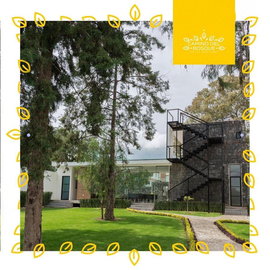 Hotel Boutique Camino Del Bosque By Rotamundos Cholula Ngoại thất bức ảnh