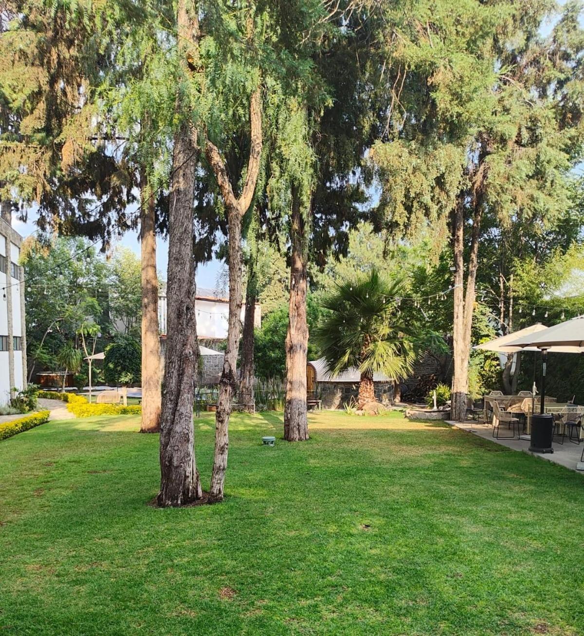 Hotel Boutique Camino Del Bosque By Rotamundos Cholula Ngoại thất bức ảnh